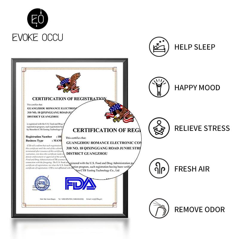 Eucalyptus Tea Tree Essential Oils 10ML with Dropper Diffuser Aroma Oil Lavender Jasmine Sandalwood Bergamot Rose Vanilla Oil - Image 6